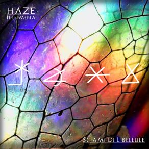 Download track Sciami Di Libellule HAZE Illumina