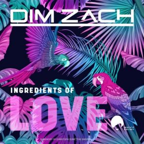 Download track Endelige (Dim Zach Mix) Dim Zach