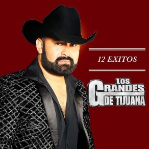 Download track La Mal Querida Los Grandes De Tijuana