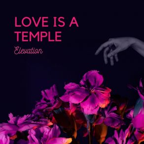 Download track Love Is A Temple Elevation