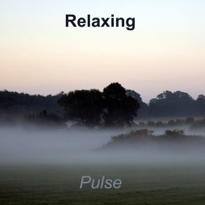 Download track Rhythms Of The Forest Relaxing