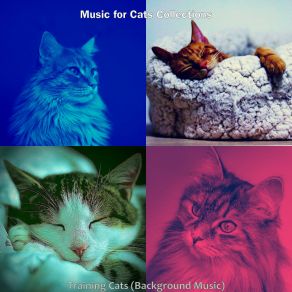 Download track Carefree (Sleeping Cats) Music For Cats Collections