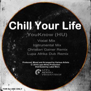 Download track Chill Your Life (Lupa Afrika Dub Remix) Youknow (HU)Lupa Afrika