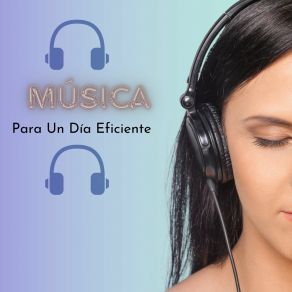 Download track Ambiente Productivo Rafael Melodías De Enfoque