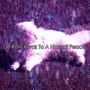 Download track Storm Chill Rain Sounds