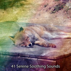 Download track Night Warmth Relaxing Music Therapy