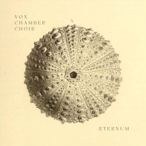 Download track Beati Qui Lugent Vox Chamber Choir