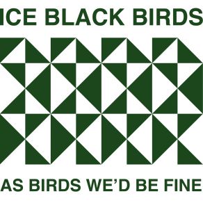 Download track Doors  Ice Black Birds