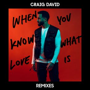 Download track When You Know What Love Is (Majestic Remix) Craig David