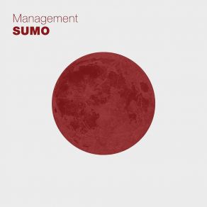 Download track Sto Impazzendo The Management