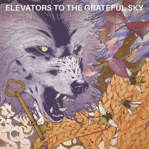 Download track Night's Out Elevators To The Grateful Sky