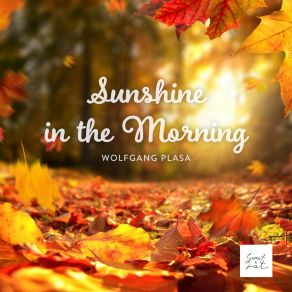 Download track Sunshine In The Morning Wolfgang Plasa