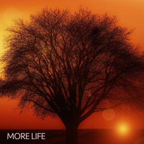 Download track More Life (Instrumental Mix) DJ Jarell