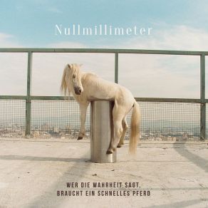 Download track Zwillingsschwester Nullmillimeter