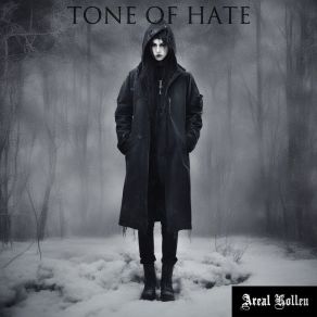 Download track Tone Of Hate (Mof Instrumental) Areal Kollen