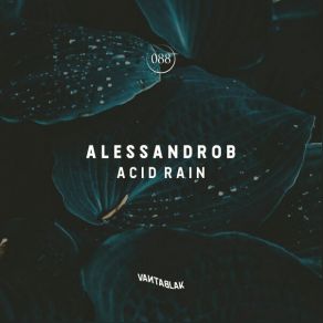 Download track Acid Rain (Original Mix) AlessandroB