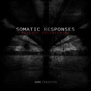 Download track Reverse Engineering Somatic Responses