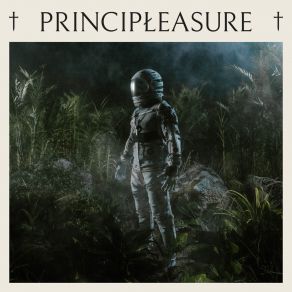 Download track Psychotrope PRINCIPLEASURE