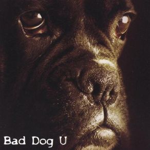 Download track Olderwisersadder Bad Dog U