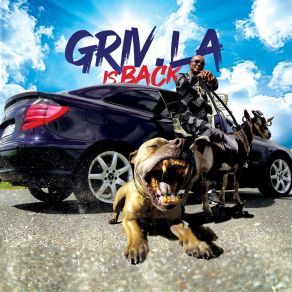 Download track Bodé (Is Back) Griv La