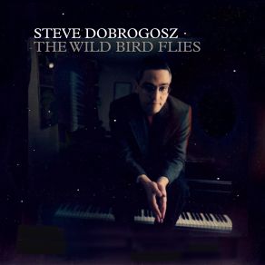 Download track Your Silent Eyes Steve Dobrogosz