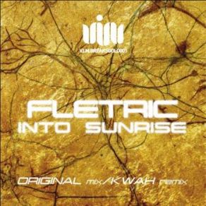 Download track Into Sunrise (KWAH Remix) Fletric