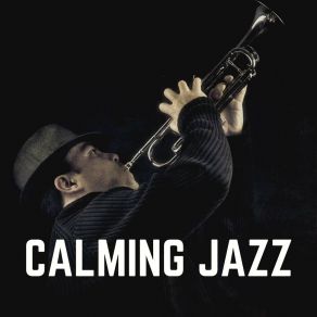 Download track Vibrantly Jazz, Pt. 19 Relax Music Channel