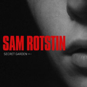 Download track Carry On Sam Rotstin