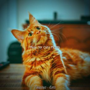 Download track Subtle (Sleeping Cats) Music For Cats Moods