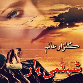 Download track Zama Shabnami Yara Gulzar Alam