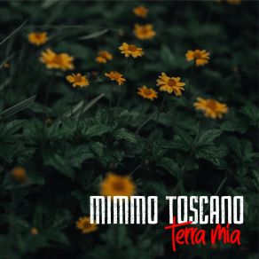 Download track A Cumpagnia Mimmo Toscano