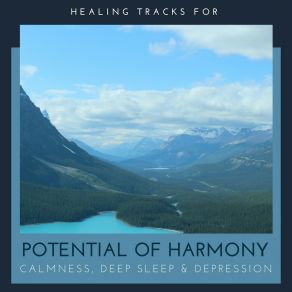 Download track Nature Meditation Alluring Melody Productions