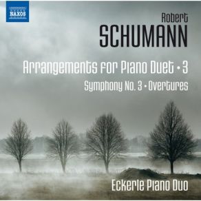 Download track Symphony No. 3 In E-Flat Major, Op. 97 Rhenish (Arr. C. Reinecke For Piano 4 Hands) IV. Feierlich Eckerle Duo