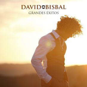 Download track Camina Y Ven David Bisbal