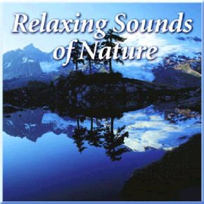 Download track Soothing Waterfalls Relax