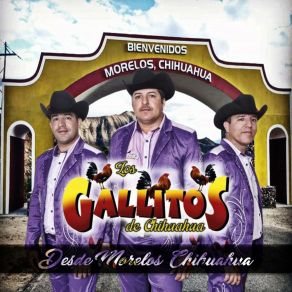 Download track Ojazos Negros (En Vivo) Los Gallitos De Chihuahua