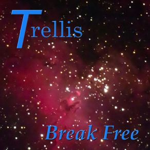 Download track Can't Take Away Trellis