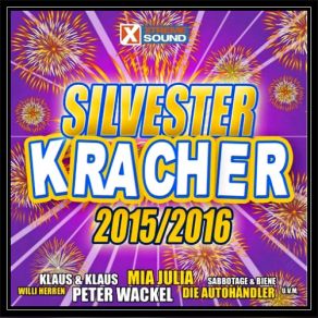 Download track Ich Glaub Es Geht Schon Wieder Los 2015 Stefan Stürmer