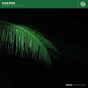 Download track Closet Junglist Haezer