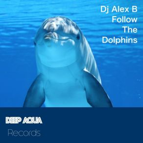 Download track Follow The Dolphins (Original Mix) DJ Alex B