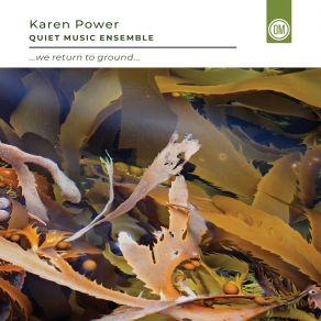 Download track Sonic Pollinators Karen Power