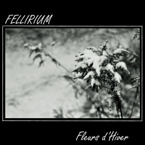 Download track Flowers Of Winter Fellirium