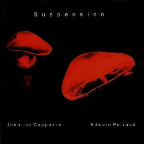 Download track Suspension Edward Perraud