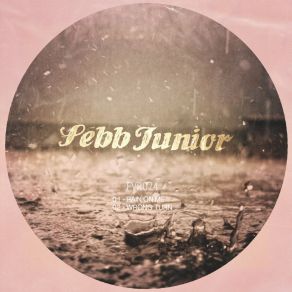 Download track Rain On Me (Original Mix) Sebb Junior