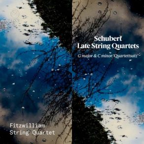 Download track String Quartet In G Major, D. 887: IV. Allegro Assai' Fitzwilliam String Quartet