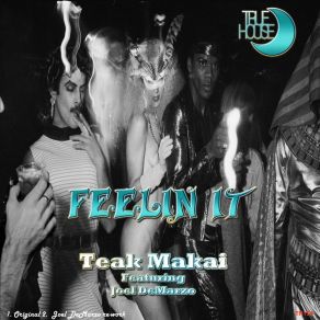 Download track Feelin It (DeMarzo Rework) Teak MakaiJoel Demarzo