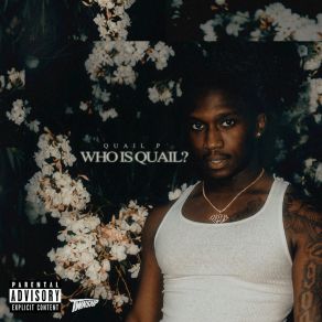 Download track What You Got Quail P