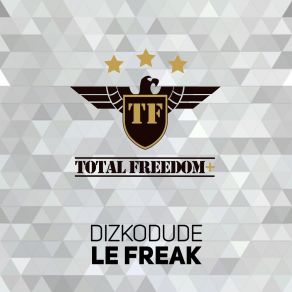 Download track Le Freak (Extended Mix) Dizkodude