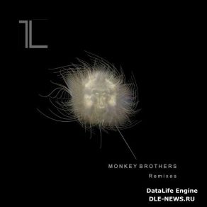 Download track Zing (Monkey Brothers Remix) Artbat