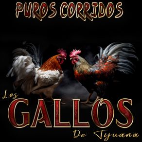 Download track Agustin Jaime Los Gallos De Tijuana